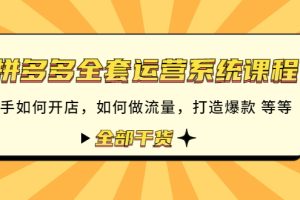 (4430期)拼多多全套运营系统课程:新手如何开店 如何做流量 打造爆款 等等 全部干货
