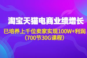 (4409期)淘系天猫电商业绩增长:已培养上千位卖家实现100W+利润(700节30G课程)
