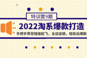 (4334期)2022淘系爆款打造特训营9期:手把手带您链接起飞,全店运销,轻松出爆款