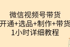 （3515期）陈奶爸·微信视频号带货：开通+选品+制作+带货（1小时详细教程）
