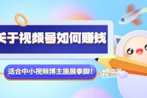 （3064期）某公众号付费文章《关于视频号如何赚钱》适合中小视频博主施展拳脚！