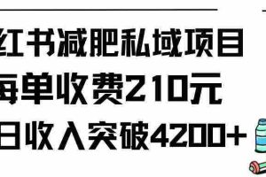 （9466期）小红书减肥私域项目每单收费210元单日成交20单，最高日入4200+