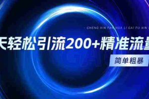 （9359期）一天轻松引流200+精准流量，简单粗暴，一看就会