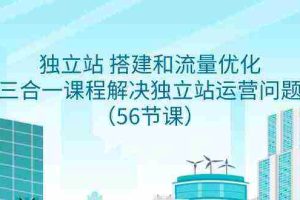 （9156期）独立站 搭建和流量优化，三合一课程解决独立站运营问题（56节课）