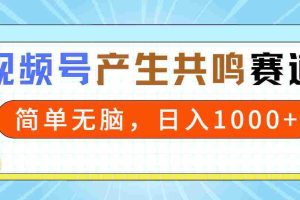 （9133期）2024年视频号，产生共鸣赛道，简单无脑，一分钟一条视频，日入1000+