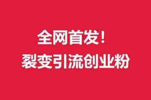 （9061期）（全网首发）外面收费几千的裂变引流高质量创业粉