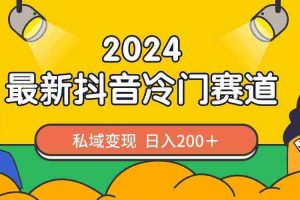 （8960期）2024抖音最新冷门赛道，私域变现轻松日入200＋，作品制作简单，流量爆炸