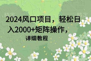 （9652期）2024风口项目，轻松日入2000+矩阵操作，详细教程