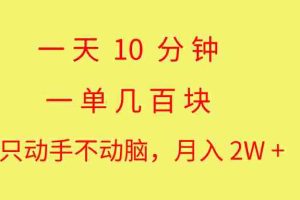 （10974期）一天10 分钟 一单几百块 简单无脑操作 月入2W+教学