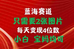 （11047期）只需要2张图片 每天变现4位数 小白 宝妈均可