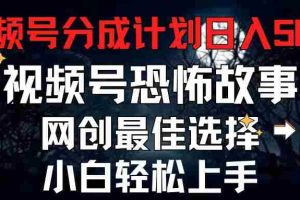 （11308期）2024最新视频号分成计划，每天5分钟轻松月入500+，恐怖故事赛道,