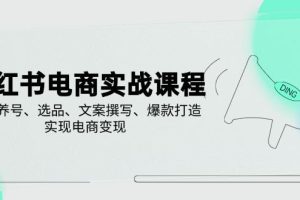 （14549期）小红书电商实战课程，详解养号、选品、文案撰写、爆款打造，实现电商变现