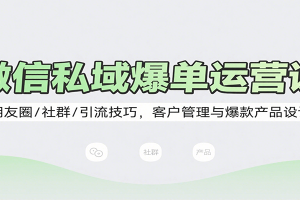 微信私域爆单运营课:朋友圈/社群/引流技巧,客户管理与爆款产品设计