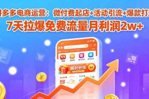 （15960期）拼多多电商运营：微付费起店+活动引流+爆款打造 7天拉爆免费流量月利润2w+