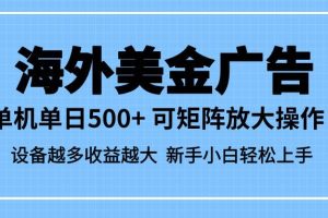 (16488期)最新蓝海市场,海外美金广告,单设备500+,矩阵放大操作,设备越多收益…