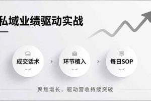 (16988期)私域业绩驱动实战,成交话术、环节植入、每日SOP,聚焦增长,驱动营收持续突破